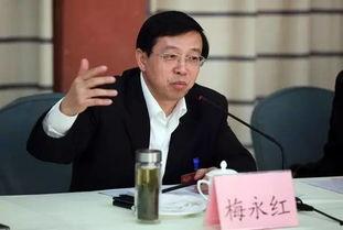 梅永红 背景,从科研精英到企业领袖的跨界传奇