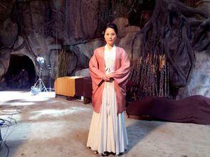 演员郑晓婉,光影交织下的璀璨星途