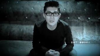 岳辛资料,传奇人生与时代印记的交织